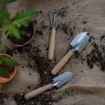 All Saints Churchyard Tidy Day - Ian's Gardening Gang