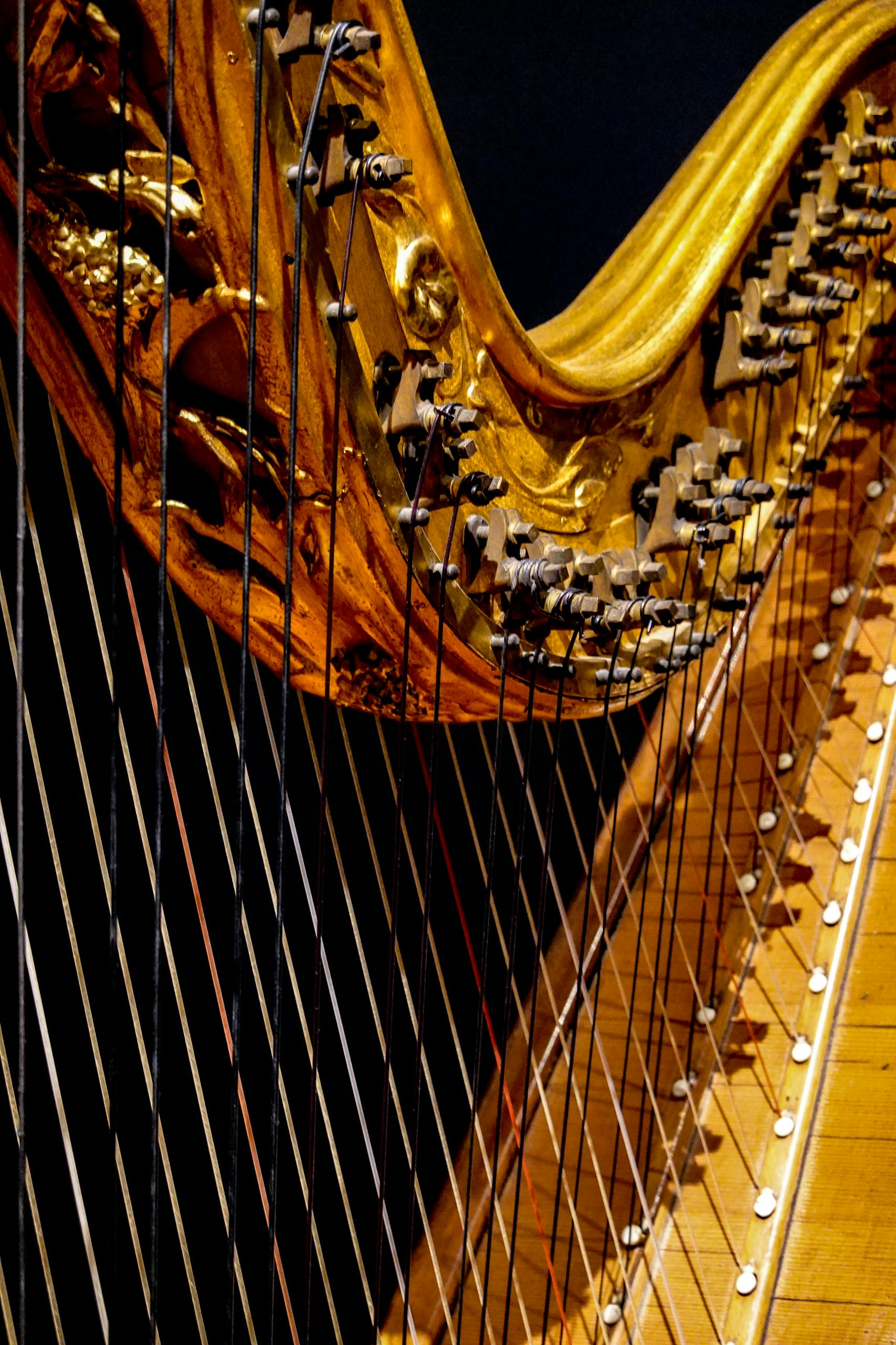 Summertime Music with Harpist Eira Lynn Jones